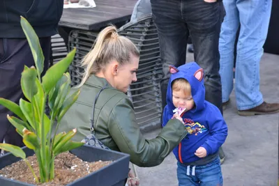 DSC_7418 (Large).JPG